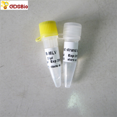 M-Mlvの逆のTranscriptase PCRの試薬Rt PCR R1041/R1042