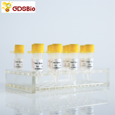 GDSBio HSの調査QPCR実時間PCRの組合せP2201 P2202