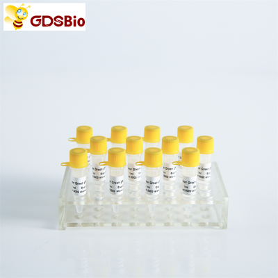 GDSBio HSの調査QPCR実時間PCRの組合せP2201 P2202