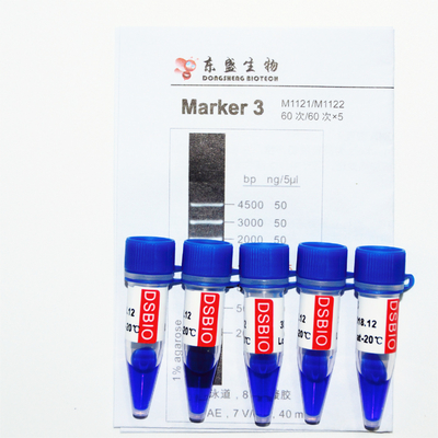 マーカー3 DNAの梯子M1121 （50μg） /M1122 （5×50μg）