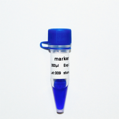 マーカー12 DNAの梯子M1141 （50μg） /M1142 （5×50μg）