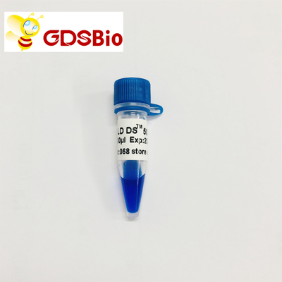GDSBio LD DS 5000 DNAのマーカーの電気泳動の青い出現