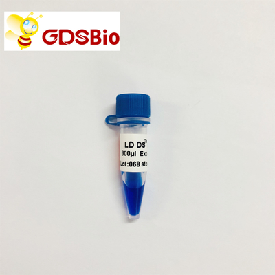 GDSBio LD DS 5000 DNAのマーカーの電気泳動の青い出現