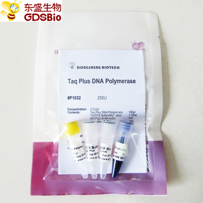 PCR P1031 P1032 P1033 P1034のためのDNAポリメラーゼと青い緩衝Taq