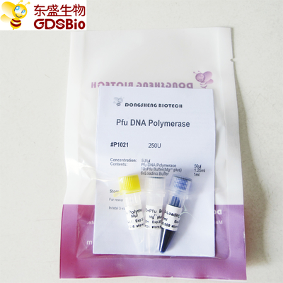 PCR P1021 P1022 P1023 P1024のためのPfuのDNAポリメラーゼ