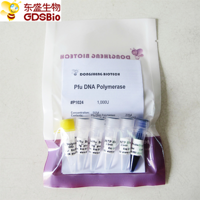 PCR P1021 P1022 P1023 P1024のためのPfuのDNAポリメラーゼ