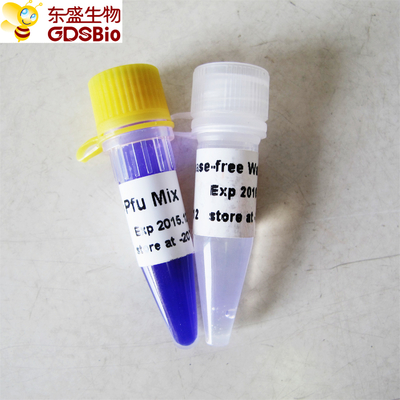 DNAのRNAの核酸PCRの検出のPfu PCRのマスターの組合せP2021 1ml