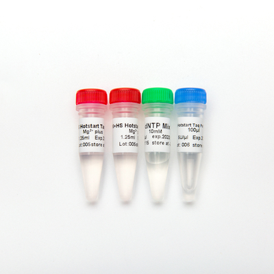 HS Hotstart Taq DNA ポリメラーゼ PCR マスター ミックス P1091 500U 高特異性