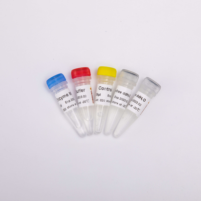 QPCRのためのRT PCRの組合せは逆のTranscriptase PCRの試薬R1031をあらかじめ混合した