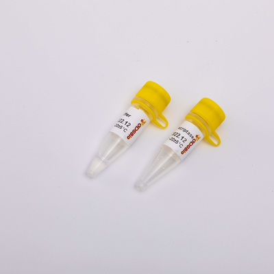 金Rt PCRの逆Transcriptase R3001 2000U R3002 10000U