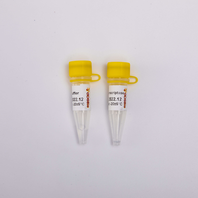 金Rt PCRの逆Transcriptase R3001 2000U R3002 10000U