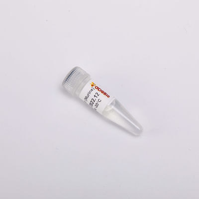 無色の出現のRNaseの抑制剤ネズミ科R4001 20000U