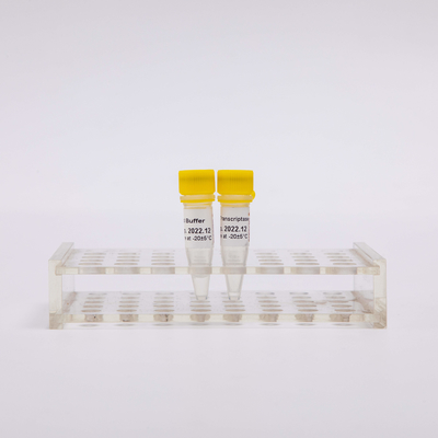 金の逆のTranscriptase PCRの試薬R3001 2000U
