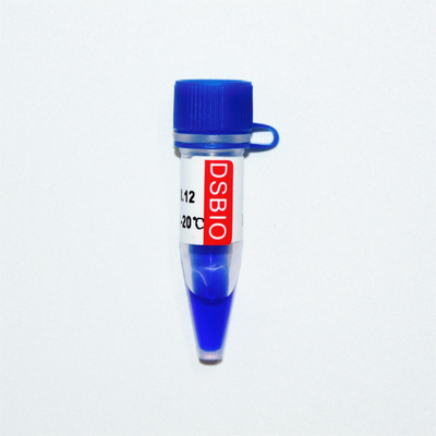 GDSBioのマーカー3 DNAのマーカーのゲルの電気泳動の青い出現