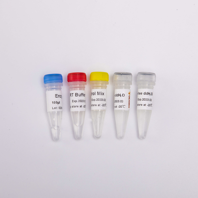 逆のTranscriptase PCRの試薬R1031 100 RxnsのためのRT PCRの組合せ