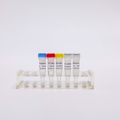 QPCRのためのR1031 GDSBio RT PCRの組合せは逆のTranscriptase PCRの試薬をあらかじめ混合した
