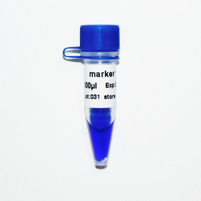 マーカー1 DNAのマーカーの電気泳動400bp 50ugの青い出現