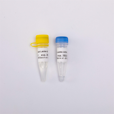 QPCR R5001 1 U/μLのための変化しやすい反汚染UDGの酵素の分子生物学を熱しなさい