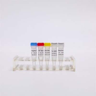 R1031 GDSBioのQPCRのための最初繊維CDNAの統合RT-PCRの組合せはRNAの逆のTranscriptase PCRの試薬をあらかじめ混合した