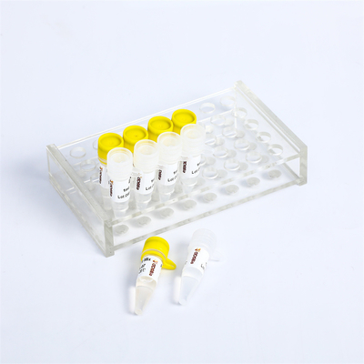 P2101 PCRのマスターの組合せのキット400のRxn 20μLの反作用