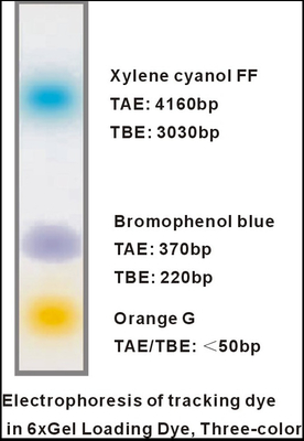 6×によってはローディングの染料3色DNAの電気泳動の緩衝エチレンジアミン四酢酸1mlx5がゼリー状になる