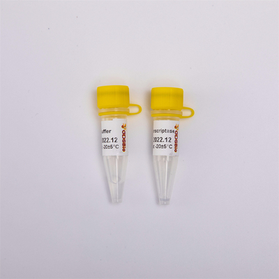 cDNA Rt PCRの金の逆Transcriptase R3001 2000U R3002 10000U