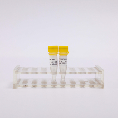 cDNA Rt PCRの金の逆Transcriptase R3001 2000U R3002 10000U