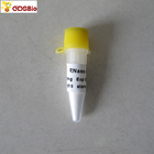 N9046 100 mg In Vitro Diagnostic Products RNase A Powder